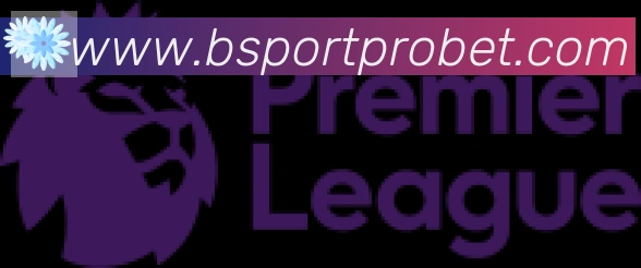 Bsports官网合作伙伴